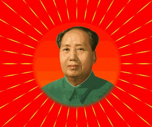 感人的照片