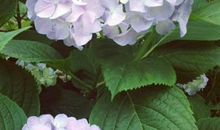 我们班的四大牛人