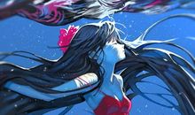 带你遨游二次元