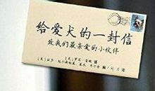 给好伙伴的一封信