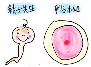 精彩的encounter