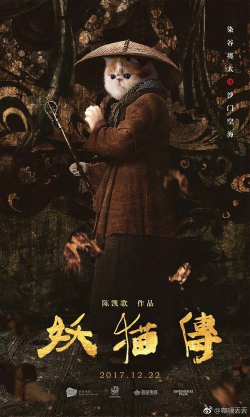看完妖猫的故事