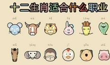 十二生肖
