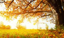 总有一种味道在心头