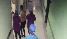 泳池里的惊险一幕