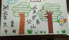 保护秦岭，从我做起