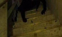 我的黑暗恐惧症