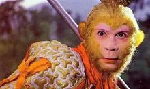 孙悟空偷偷下凡记