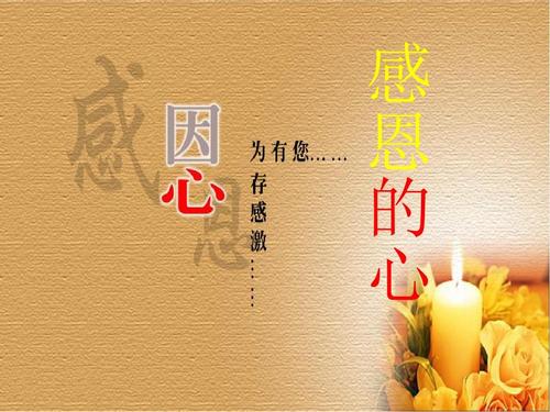 读完《感恩之心》后的感想