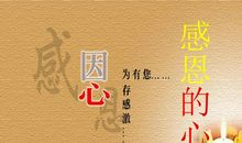 读《感恩的心》有感