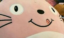 这就是爱幻想的我