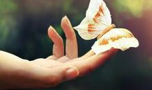 我的青春里有这样一首歌