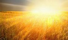 成长路上的什么