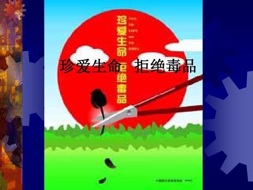 珍惜小生命