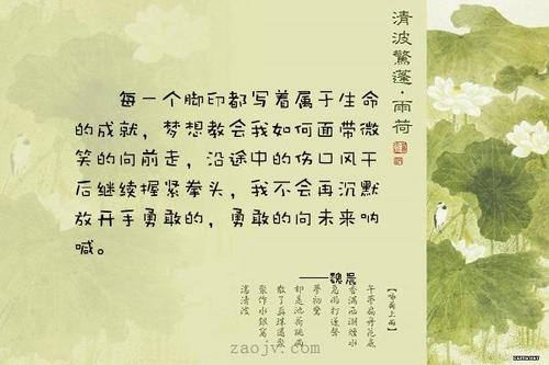 我不再勇敢了