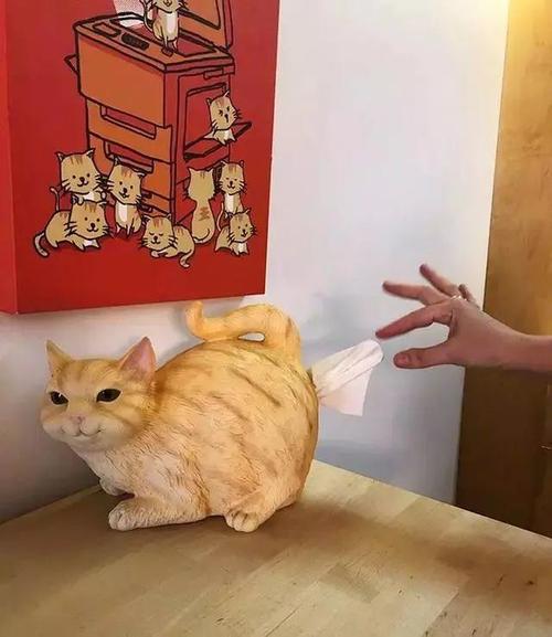 我真的不能忘记