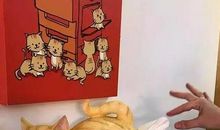 那件事我真的忘不了