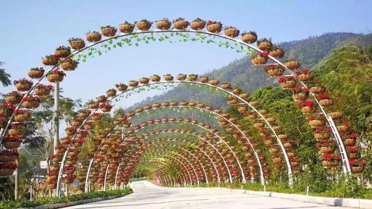 长廊的四个季节
