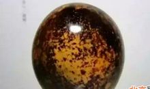 镜中的自己作文