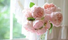 生活教会了我宽容