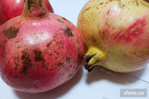 隐藏在石榴中的温暖