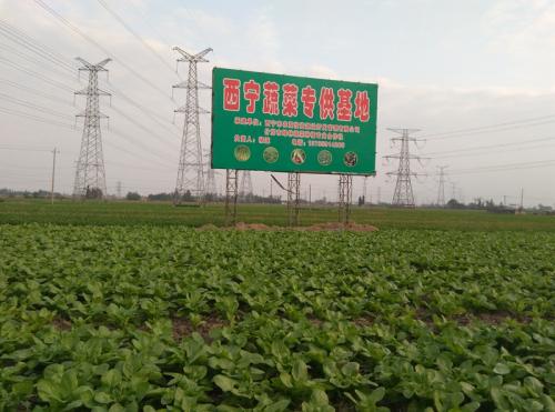 摆脱贫困