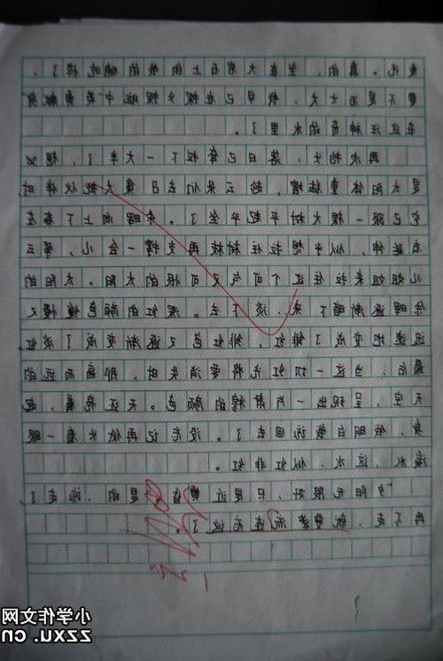 其实春天总是在我身边