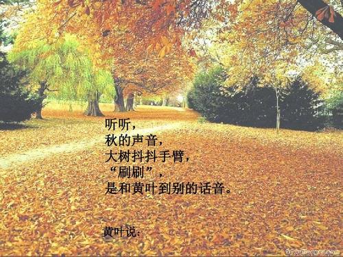 听风