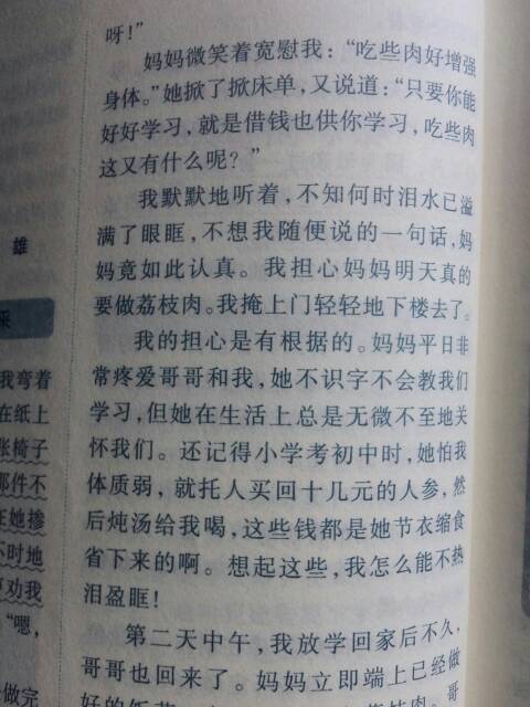 淡淡的一天也芬芳的组成800字