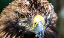 你听，颜色的声音