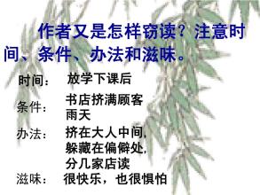 偷窃的乐趣