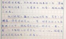 关于细节的作文