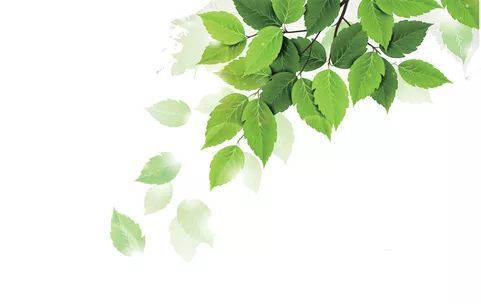 离开文明