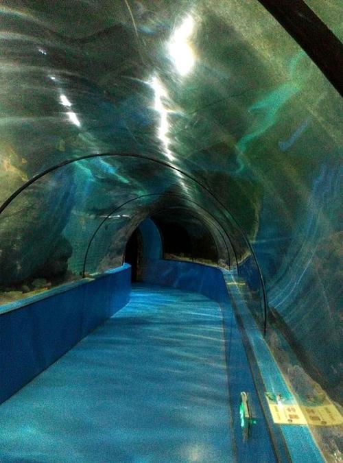 游览义乌水族馆
