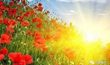 快乐做好我自己