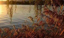 朗读属于每一个人