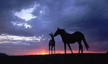 那一刻的温情时光