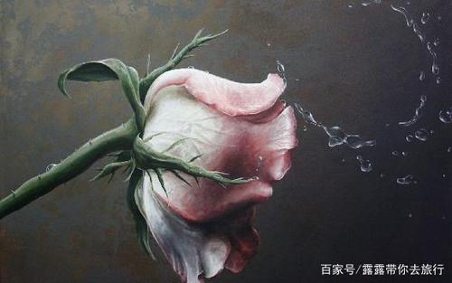 那条忠告让我一下子明白了