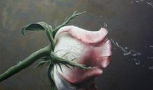 那句忠告，让我豁然开朗