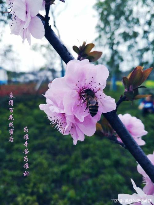 内心感受大自然