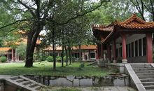 屈子祠湿地公园踏春记