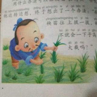 关于阅读《拉苗助成长》的思考