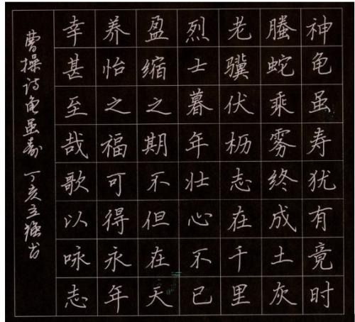 龟生活