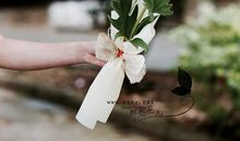 枯燥又快乐的生活