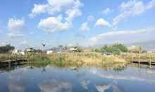 美丽的海埂公园