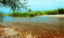 听听，小河的声音