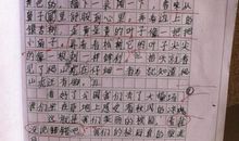 我学会了骑自行车作文