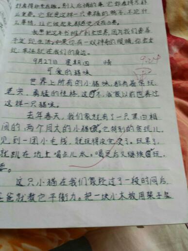 大约七月的组成