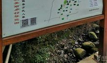 第一次独立行动