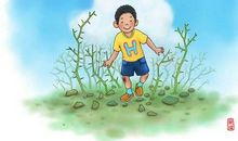 小树伴我长大